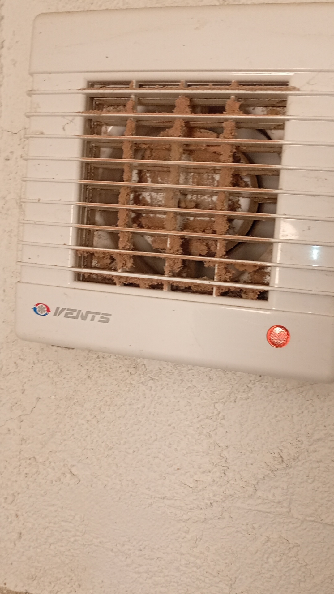 Before photo for End of Tenancy Cleaning