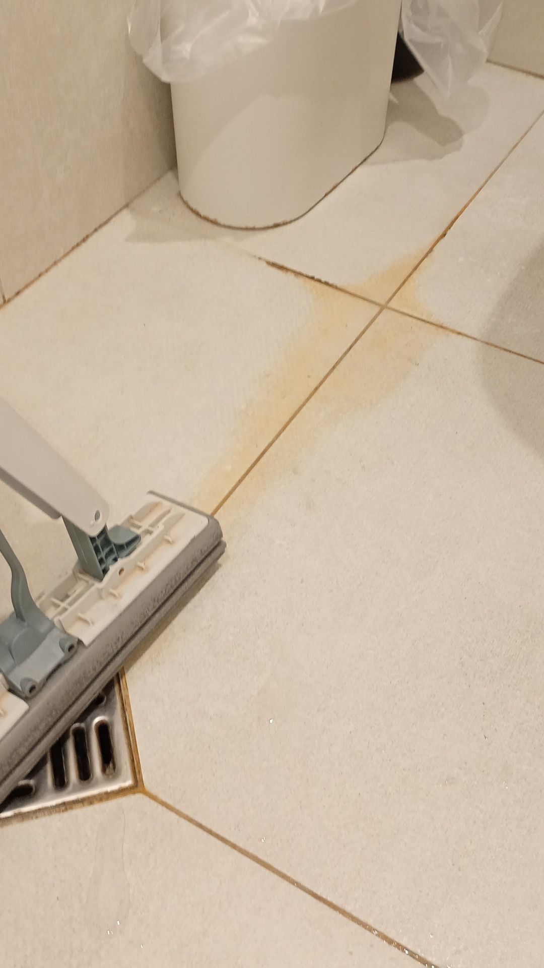 Before photo for Основно почистване