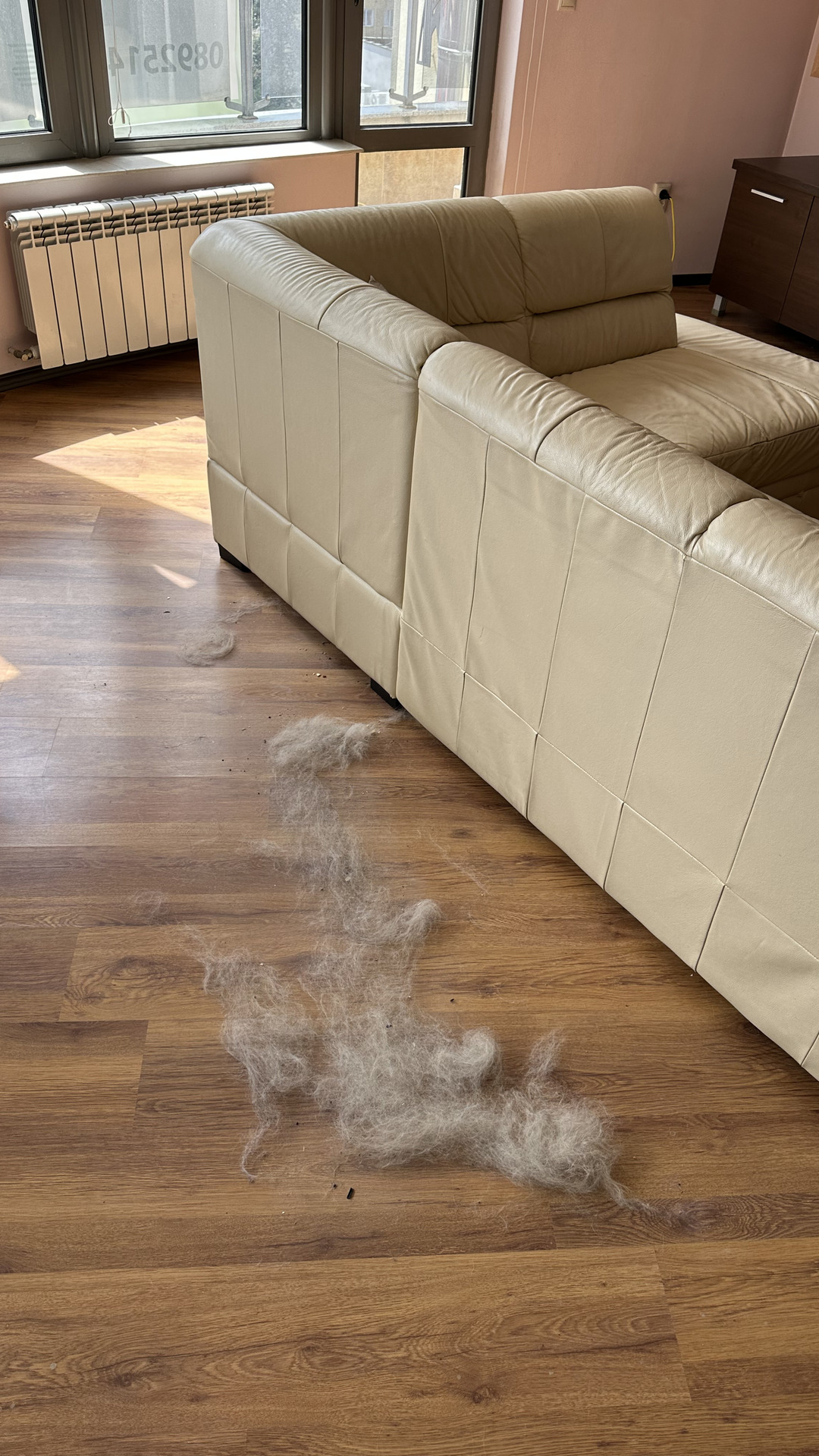 Before photo for Deep Cleaning