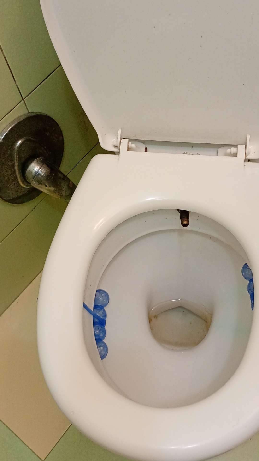 Before photo for Основно почистване