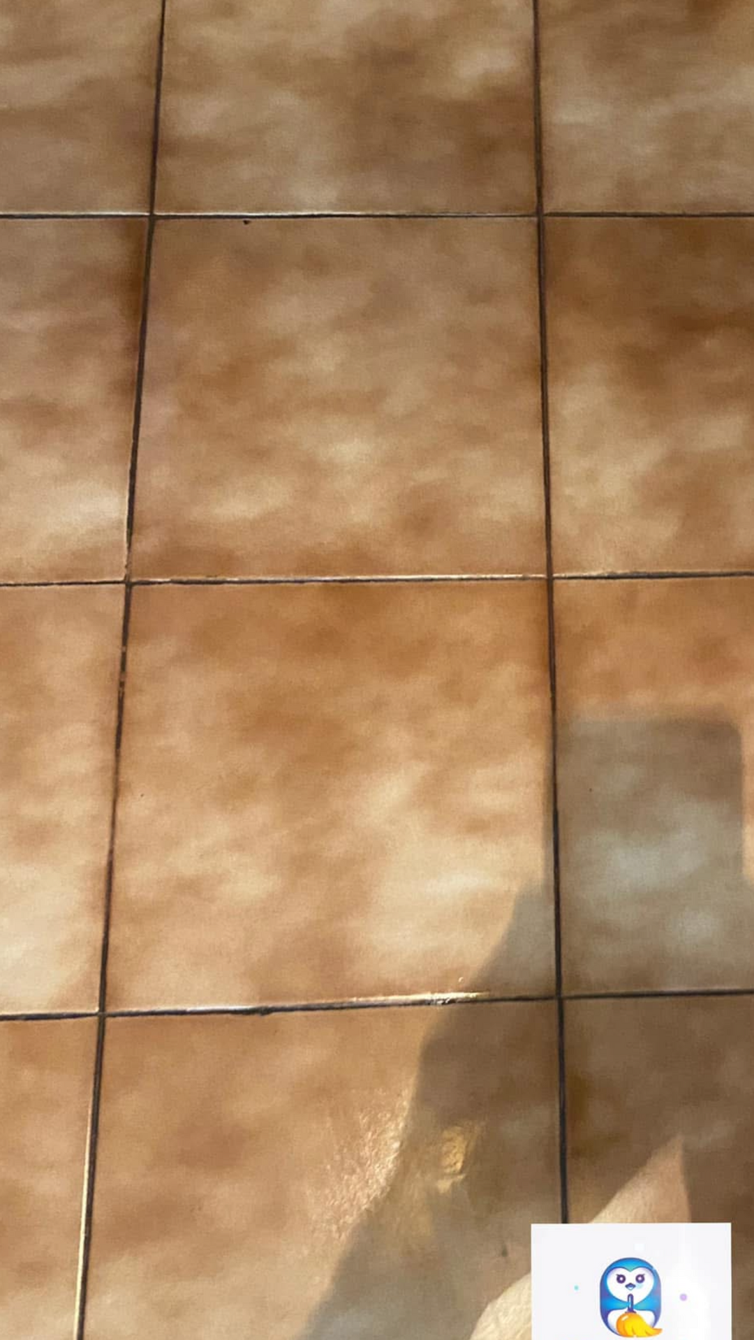 After photo for End of Tenancy Cleaning