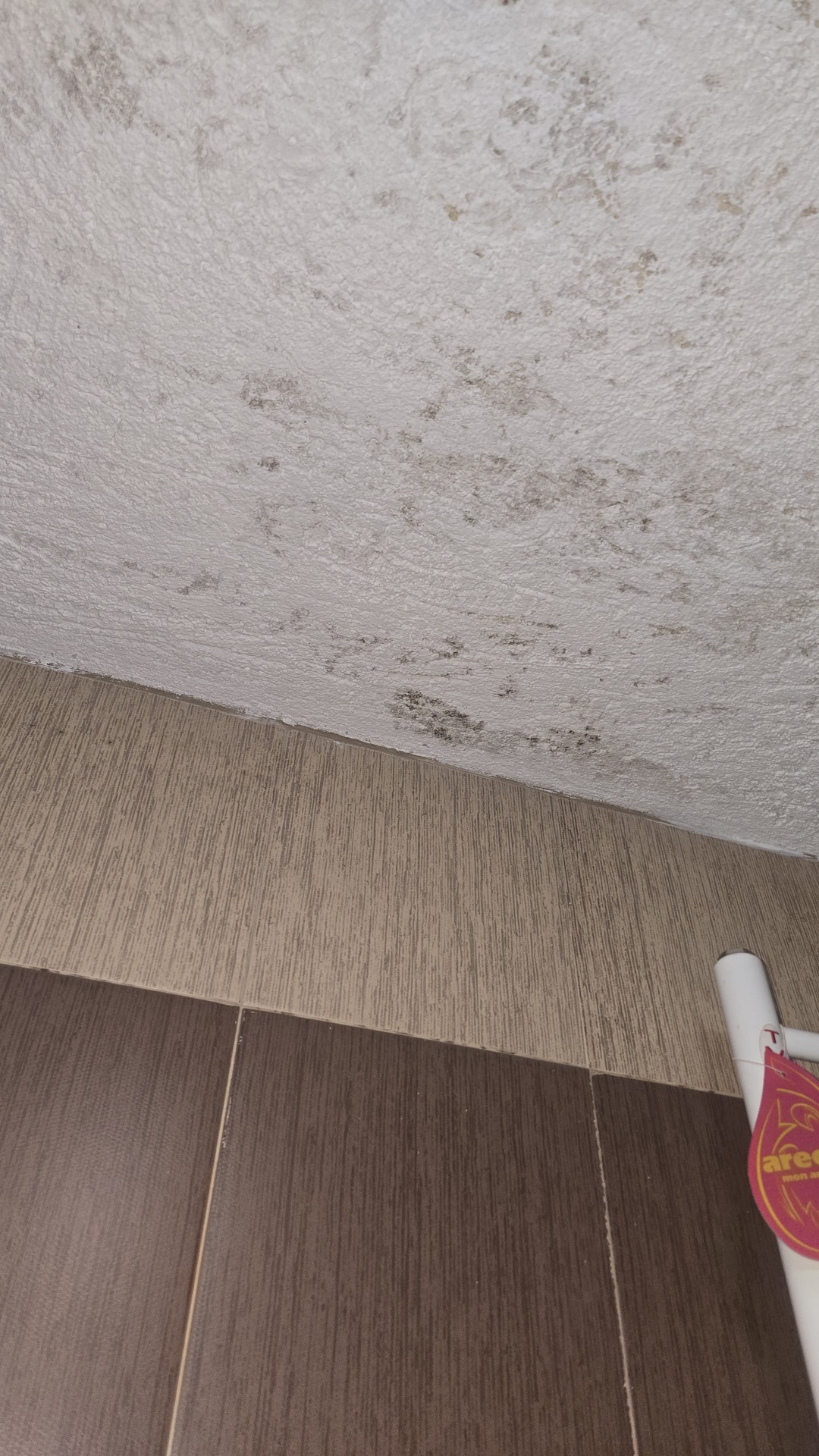 Before photo for Deep Cleaning