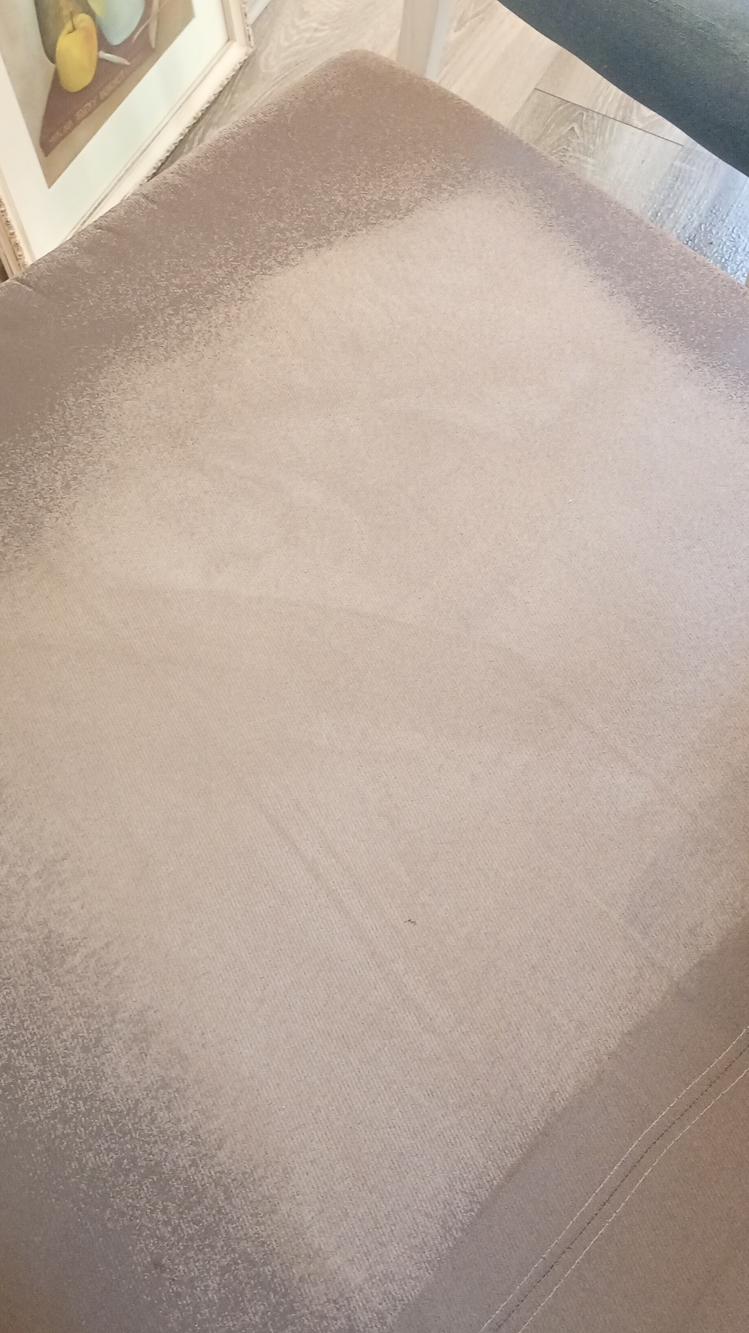 Before photo for Upholstery Cleaning